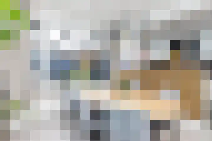 Gruttolaan 5 Wieringerwaard thumbnail 11
