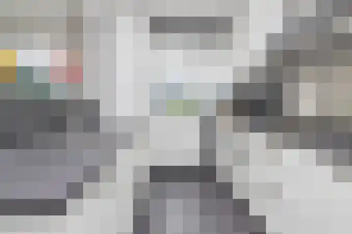 Gruttolaan 5 Wieringerwaard thumbnail 4
