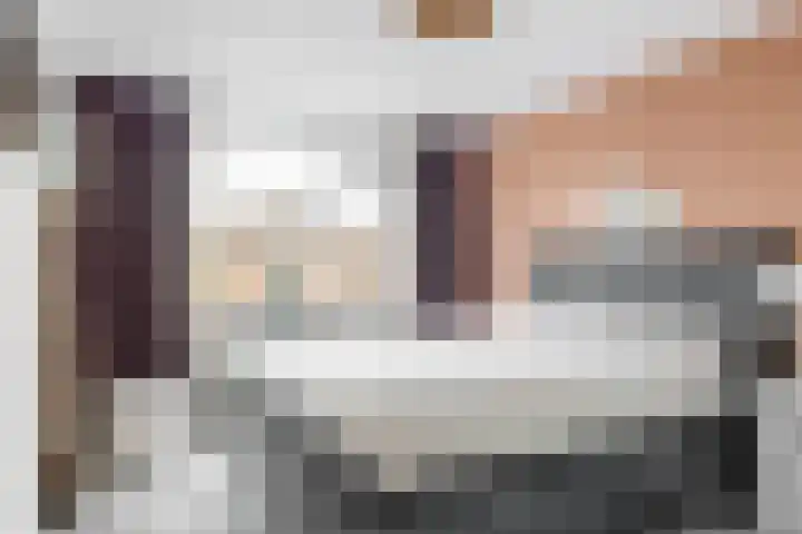 Gruttolaan 6 Driebruggen thumbnail 16