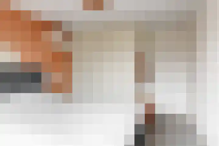 Gruttolaan 6 Driebruggen thumbnail 17