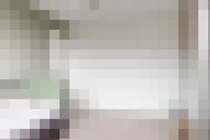 Gruttolaan 6 Driebruggen thumbnail 22