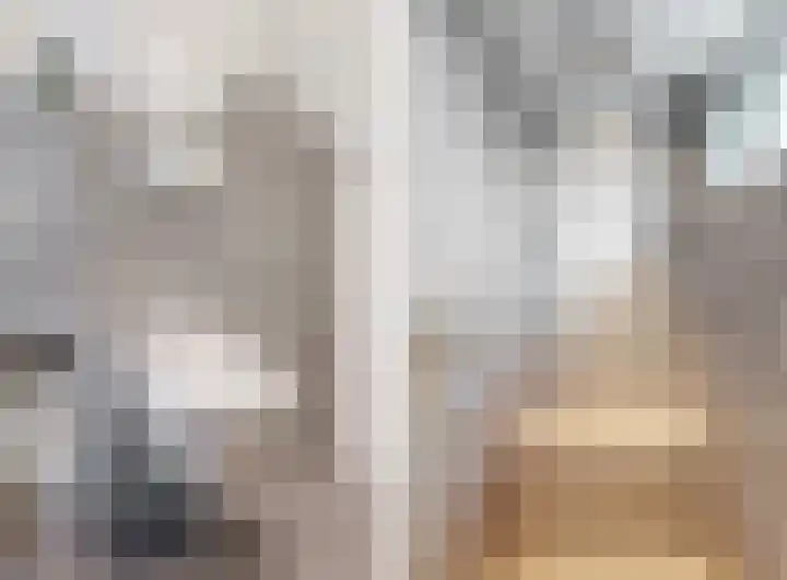 Gruttolaan 6 Driebruggen thumbnail 24