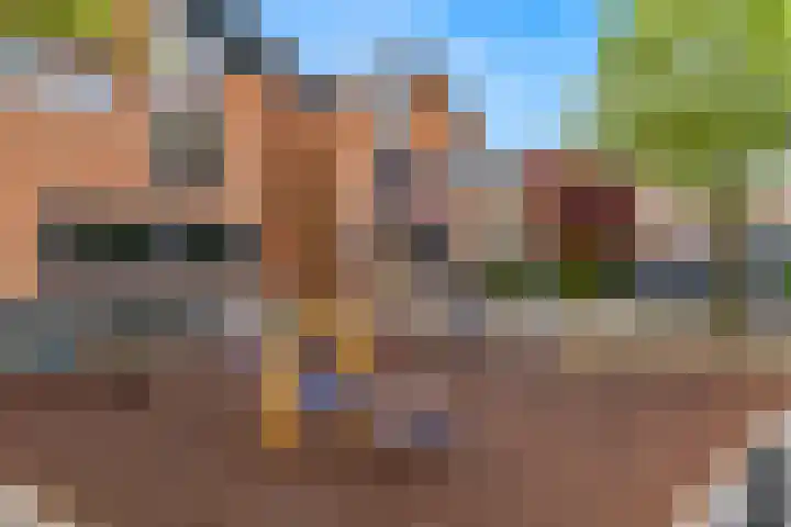 Gruttolaan 6 Driebruggen thumbnail 35
