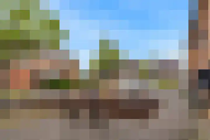 Gruttolaan 6 Driebruggen thumbnail 37