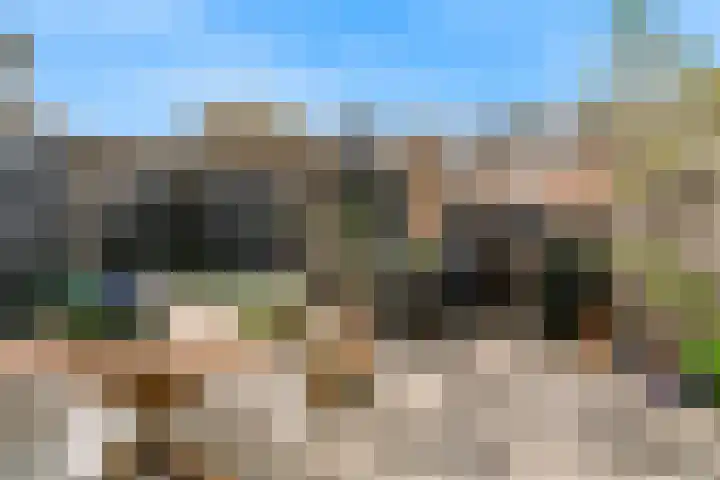 Gruttolaan 6 Driebruggen thumbnail 4