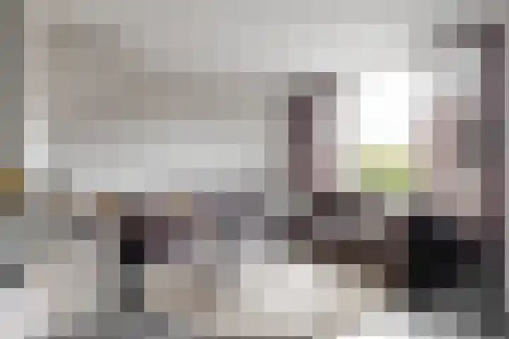 Gruttolaan 6 Driebruggen thumbnail 6