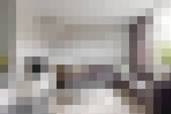 Gruttolaan 6 Driebruggen thumbnail 7