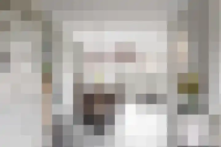 Gruttolaan 6 Driebruggen thumbnail 9