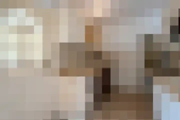 Gruttolaan 7 Schagen thumbnail 18