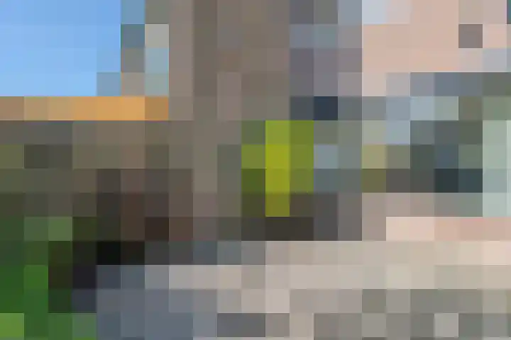 Gruttolaan 7 Schagen thumbnail 39