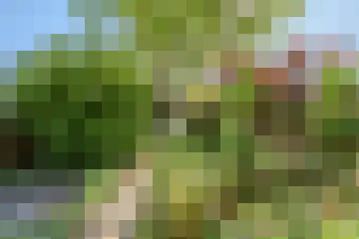 Gruttolaan 7 Schagen thumbnail 41