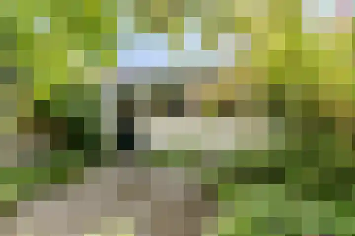 Gruttolaan 7 Schagen thumbnail 43