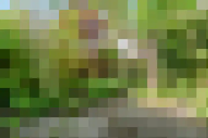 Gruttolaan 7 Schagen thumbnail 44