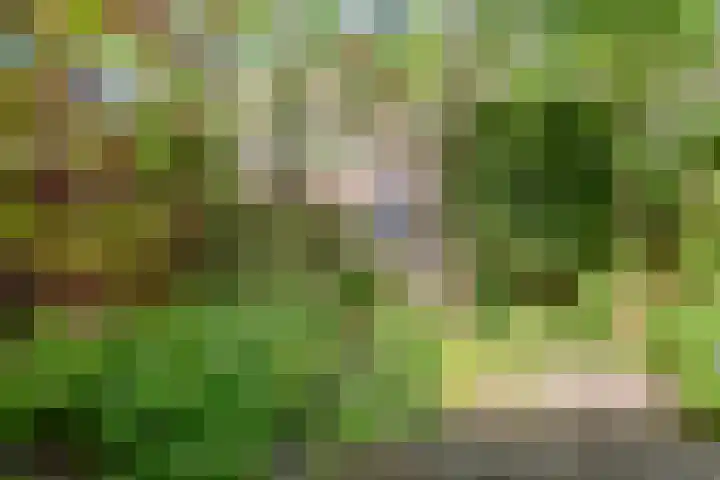 Gruttolaan 7 Schagen thumbnail 45