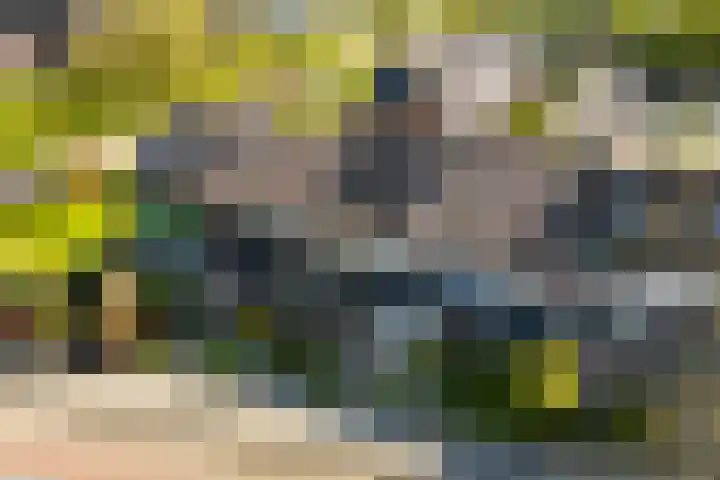Gruttolaan 7 Schagen thumbnail 48