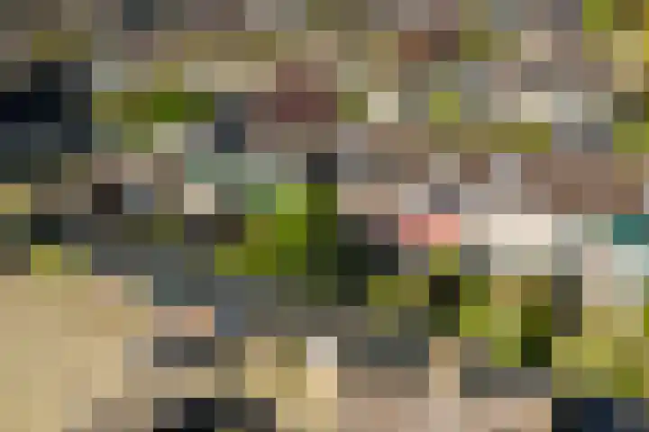Gruttolaan 7 Schagen thumbnail 50