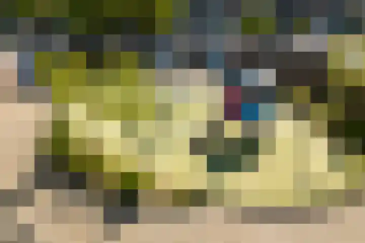 Gruttolaan 7 Schagen thumbnail 52