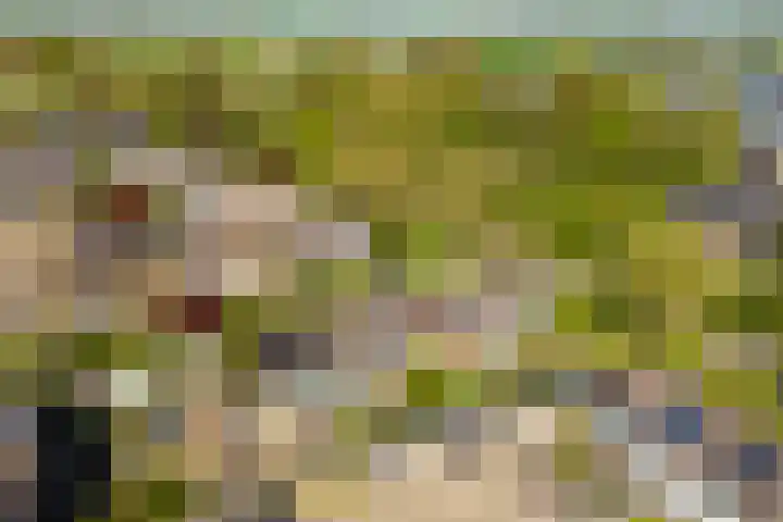 Gruttolaan 7 Schagen thumbnail 53