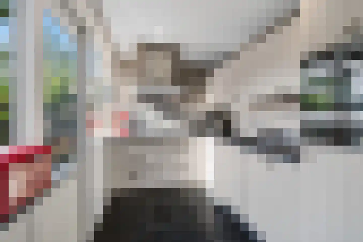Gruttolaan 8 Vught thumbnail 12