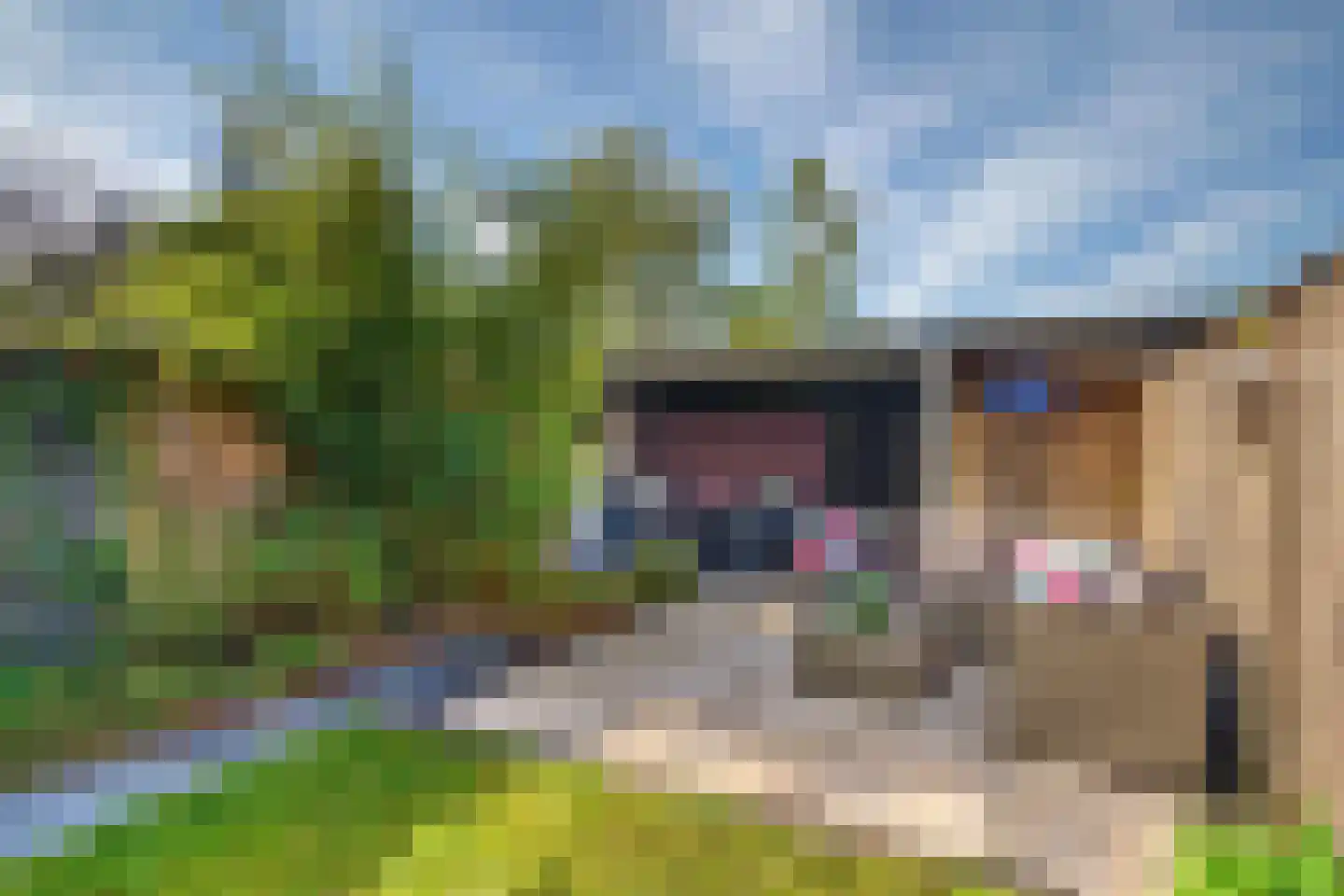 Gruttolaan 8 Vught thumbnail 19
