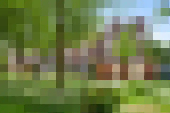 Gruttolaan 8 Weert thumbnail 30
