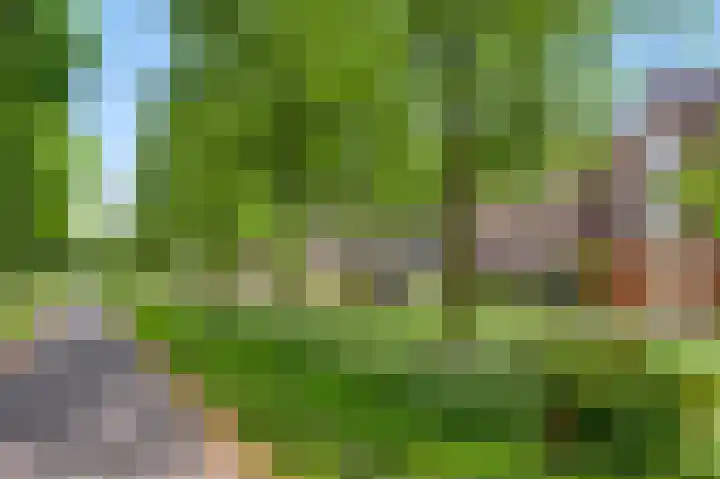 Gruttolaan 8 Weert thumbnail 33