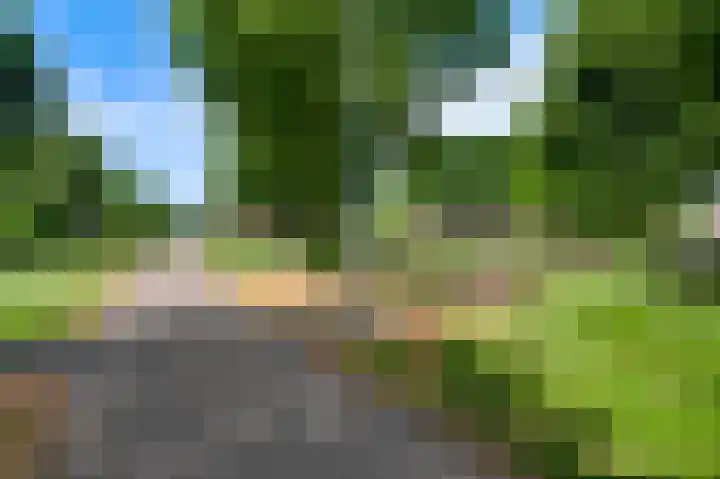 Gruttolaan 8 Weert thumbnail 34