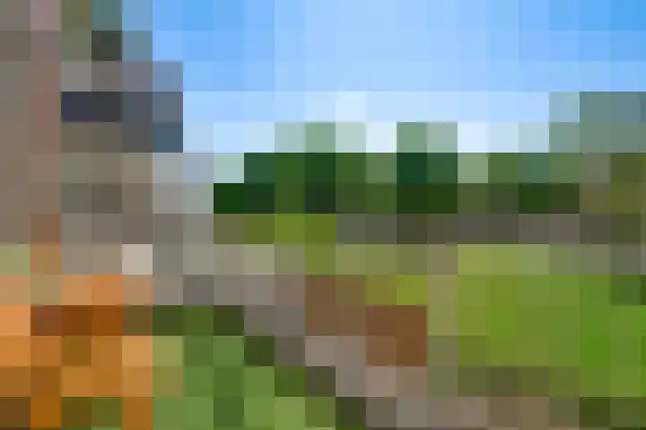 Gruttolaan 8 Weert thumbnail 4