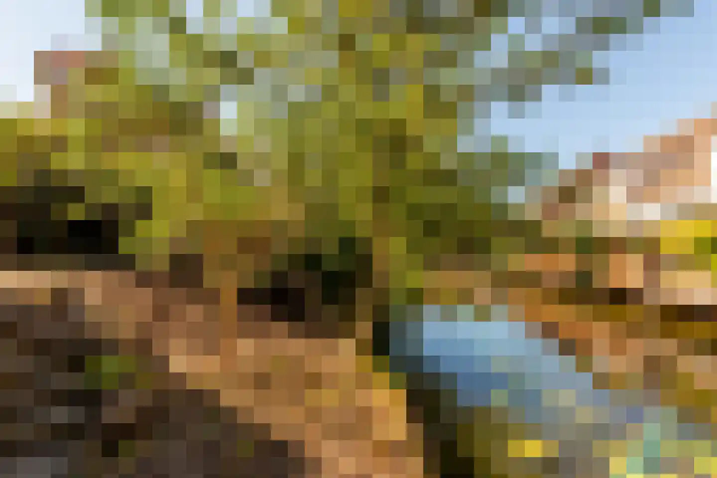 Gruttomeen 130 Harderwijk thumbnail 32