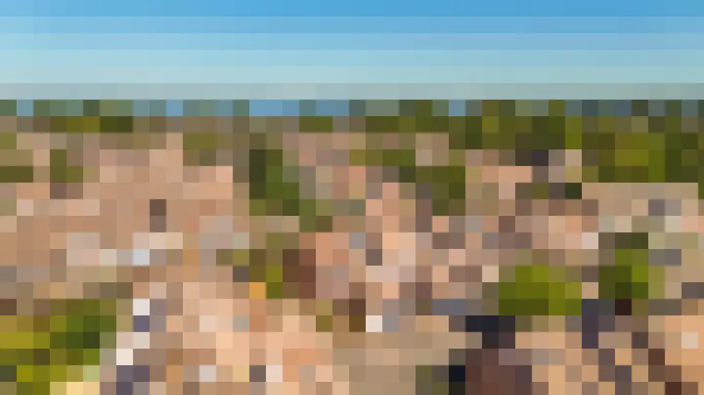 Gruttomeen 130 Harderwijk thumbnail 41