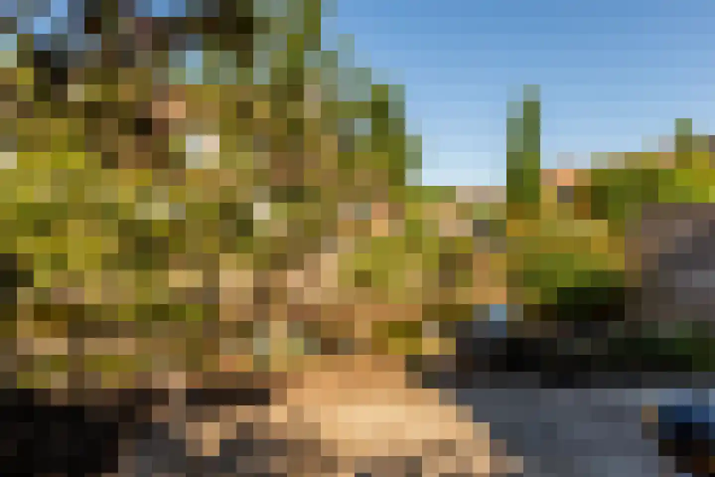 Gruttomeen 130 Harderwijk thumbnail 6