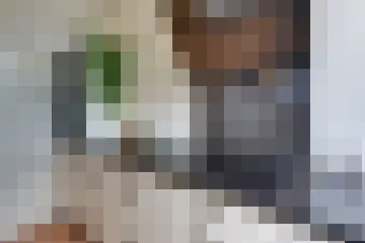 Gruttomeen 136 Harderwijk thumbnail 17