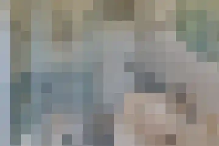 Gruttomeen 136 Harderwijk thumbnail 21