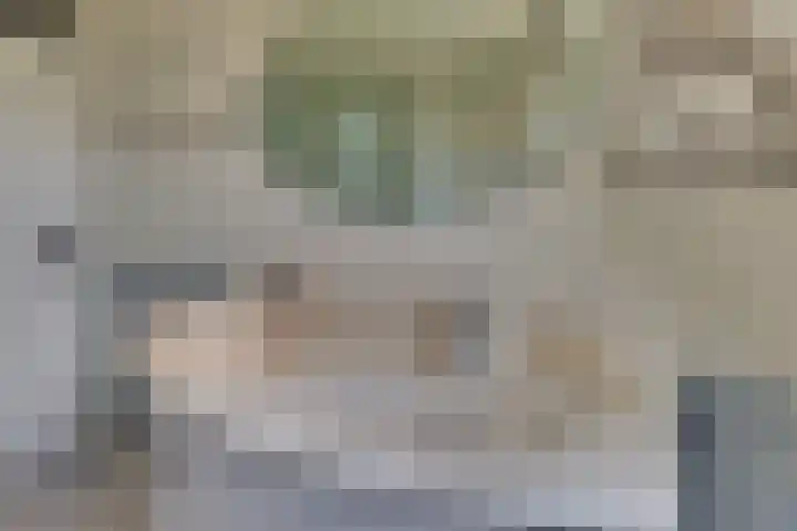 Gruttomeen 136 Harderwijk thumbnail 22