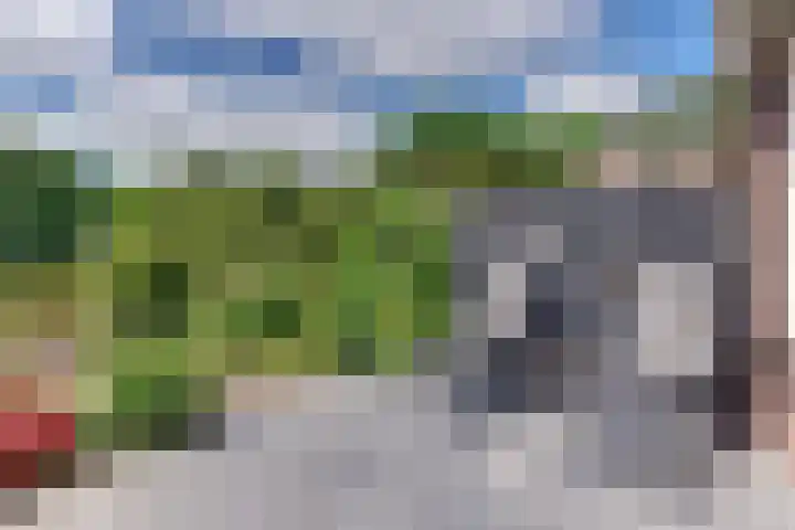 Gruttomeen 136 Harderwijk thumbnail 32
