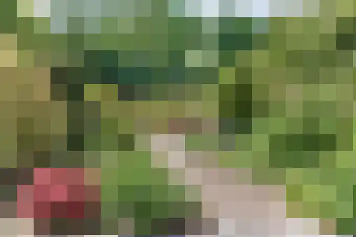 Gruttomeen 136 Harderwijk thumbnail 33
