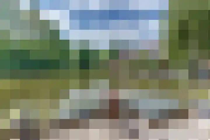 Gruttomeen 136 Harderwijk thumbnail 35