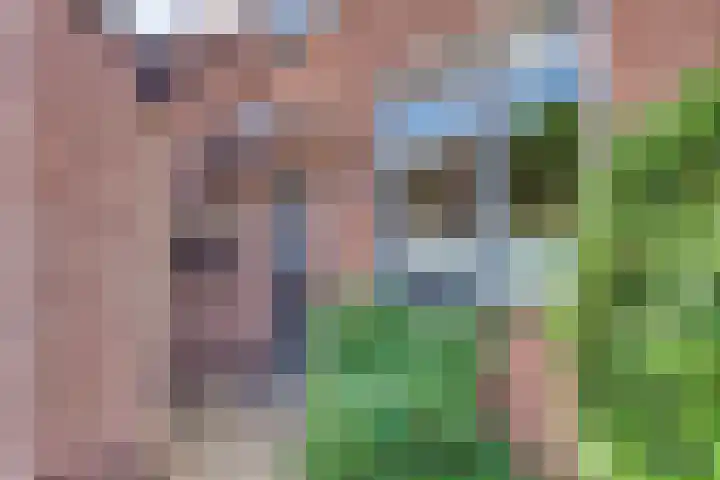 Gruttomeen 136 Harderwijk thumbnail 39