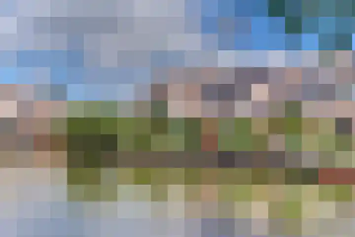 Gruttomeen 136 Harderwijk thumbnail 4