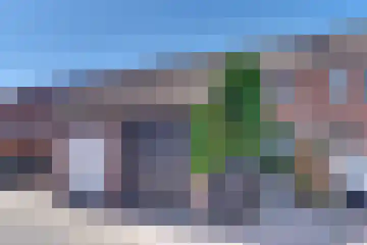 Gruttomeen 136 Harderwijk thumbnail 40
