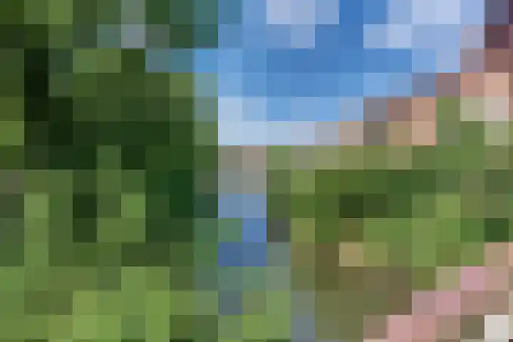 Gruttomeen 136 Harderwijk thumbnail 43