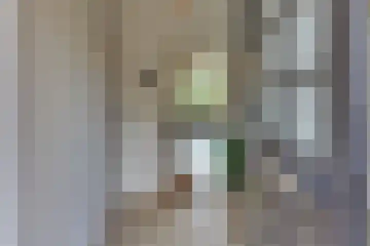 Gruttomeen 136 Harderwijk thumbnail 5