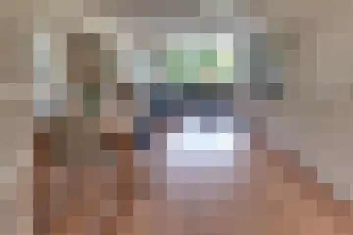 Gruttomeen 136 Harderwijk thumbnail 8