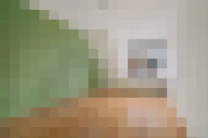 Gruttomeen 48 Harderwijk thumbnail 19