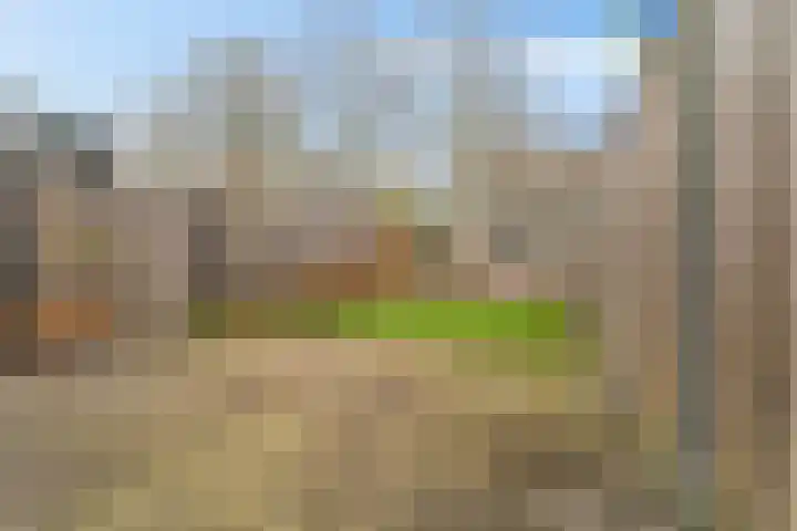 Gruttomeen 48 Harderwijk thumbnail 32
