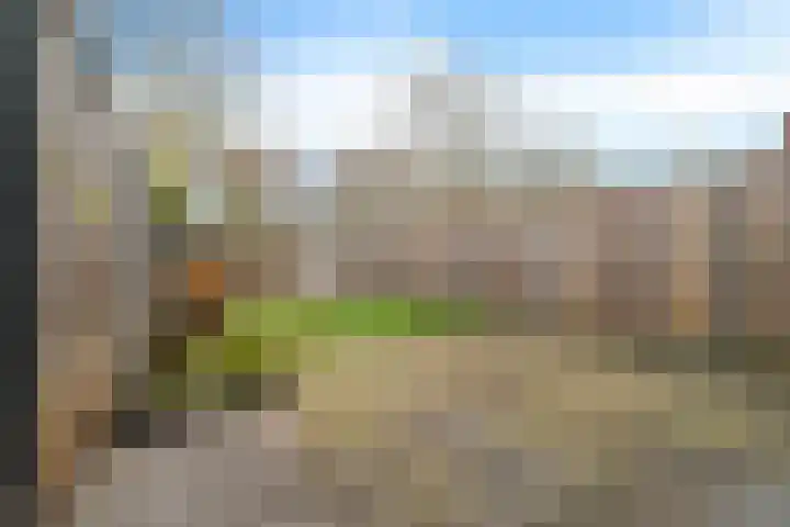 Gruttomeen 48 Harderwijk thumbnail 33