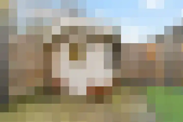 Gruttomeen 48 Harderwijk thumbnail 34