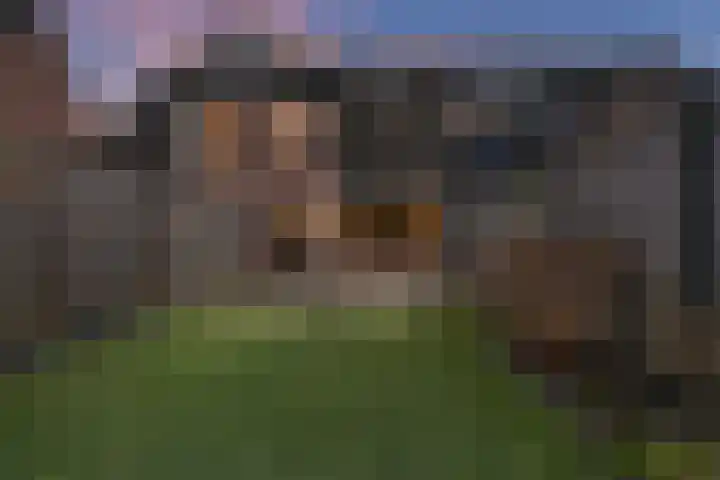 Gruttomeen 48 Harderwijk thumbnail 39