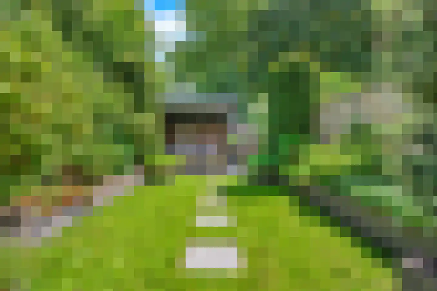 Gruttomeen 58 Harderwijk thumbnail 34