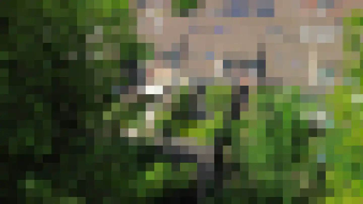 Gruttomeen 58 Harderwijk thumbnail 41
